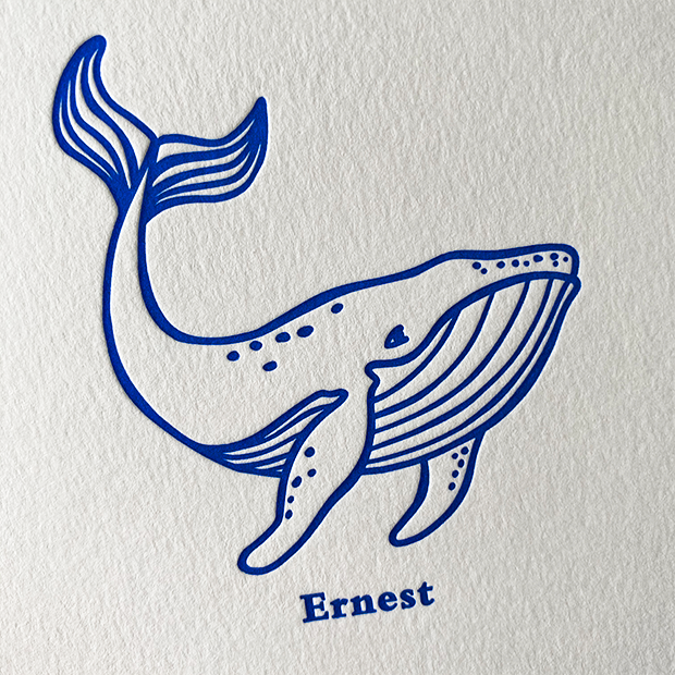 geboortekaartje jongen letterpress blauw oost vlaanderen gent