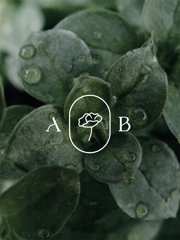 logo ontwerp oost vlaanderen bloemist florist branding rebranding