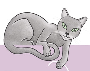 geboortekaartje met tekening op maat van kat poes meisje illustrator gent illustratie Oost-Vlaanderen